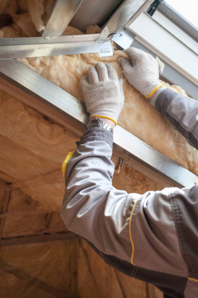Best Eco-Friendly Insulation in Lubbock, TX