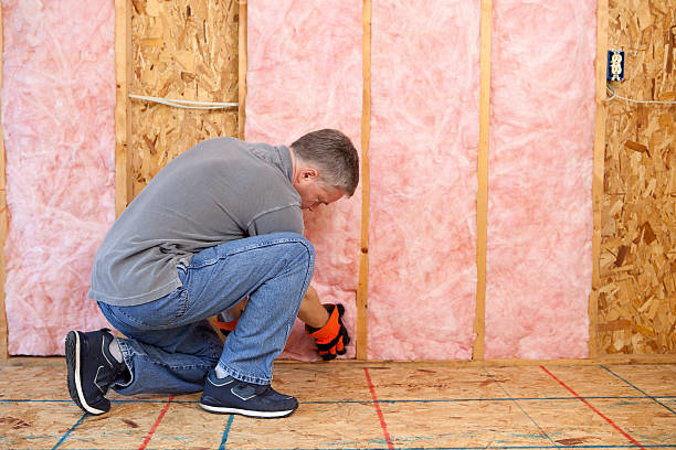 Best Geographic-Specific Insulation Services in Lubbock, TX